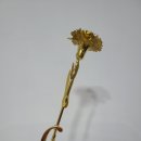 네버스탑YB 이미지