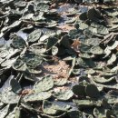 농암농장 이미지