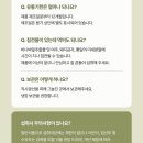 이포약국 | 돼지감자차 만드는 법 바나바잎 돼지감자 효능 마시는 물로 혈당관리와 다이어트