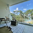 Lisof(리소프) 이미지