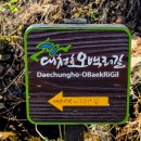 이현동2 | 대청호 오백리길 1구간-(대청댐 물문화관~지명산~삼정동~갈전동~이현동)-251129