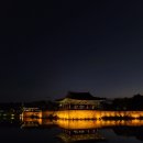 세븐일레븐 양지포레스토리점 | [국내 여행] 1박2일 경주 여행