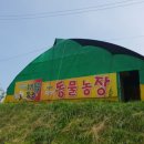 임해농장 이미지