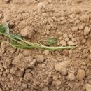 유현초병설유치원 이미지