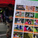 (사)대전여성장애인연대 이미지