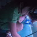 남양주 락 실내바다 낚시터 이미지