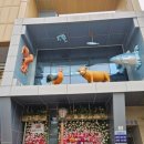 구시장공중화장실 이미지