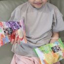 샤론정헤어 | 일본직구사이트 민티아 곤약젤리 엔핍으로 주문