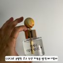 향 | [출퇴근 차량용디퓨저] LUCIR 문구각인 피치블루밍 향 후기