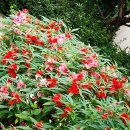 세무서길 이미지