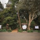 신흥2리마을 이미지