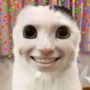 어쭈구리