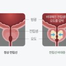 보건정문약국 이미지