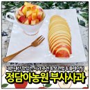 동일종합가스 | 정담아농원 부사 사과 흠과 5kg 후기, 아삭한 보관법 깎는법 플레이팅