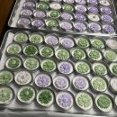 Wedding Favors 이미지