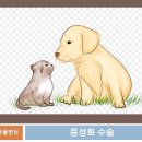 워너비동물병원 용산점 이미지