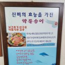 송정송어장모전점 | 문경 송어회 송정송어장 문경 회집 송어 추천!