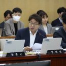 신나무실육교 이미지