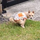 서쪽강생이 | [제주애견동반독채펜션] 룸 컨디션 최상 애견동반독채숙소 '서쪽강생이' 솔직후기