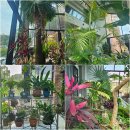 ☆라라보타닉,용인 식물원 분위기 브런치 카페 다녀왔어요 (주말 데이트 &amp; 힐링 장소 추천)