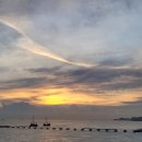 하얀낭만 이미지