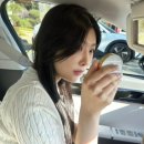 선기로1-1 | 승무원쿠션으로 유명한 벨르랑코 커버력 지속력 다 잡았다! :: 실제 사용 후기