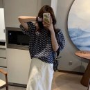 하이베이직