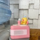 위 테니스 아카데미 경기 군포 당동 실내테니스 레슨 후기
