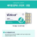 조인트 동물병원 네이버블로그