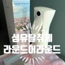 어라운드 | 섬유탈취제 고급스럽고 자연스러운 향이 오래가는 라운드어라운드 후기