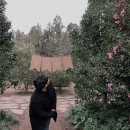 살롱드사라왁싱 | 흔사의일상/살롱드사라왁싱/왁싱후기/일상/흔적/포항살롱드사라왁싱/헤어라인왁싱