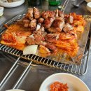 (주)버드로그 이미지