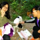 산골캠핑장 이미지