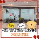 리오동물병원 | 시흥 은계,신천동,대야동,은행동 강아지&amp;고양이병원 고래동물병원
