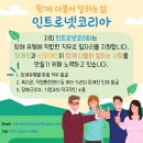 인트로넷코리아
