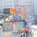 금보