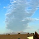 스테이서귀 이미지