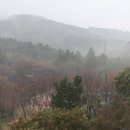 양만리 楊萬里33수. 過百家渡4首 生酒歌 醉吟 이미지