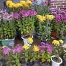 뜰이야기 이미지