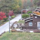 산삼자연휴양림 이미지