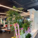 GYM 플레이 그라운드 이미지