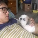 꽃나라이야기 이미지