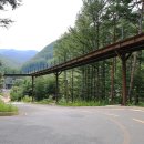 태백산국립공원 소도야영장 이미지