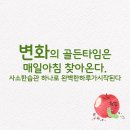 금오핫점핑