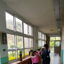 다부초교 이미지