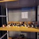 풍월주인 이미지