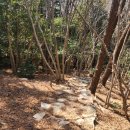 매봉산 정상 | [공지] 전남 여수 금오도 매봉산(대부산) 2