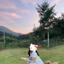 멍또와 | 부산 기장 강아지랑 가볼 만한 곳 프라이빗 애견 운동장 내돈내산 후기 멍또와