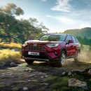 오토메틱코리아 이미지