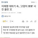 이재명 대위기 속.., '고양이 뽀뽀' 사진올린 문재인 이미지